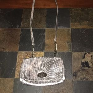 Silver purse